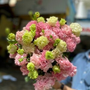 Lan Tường Hồng Quang