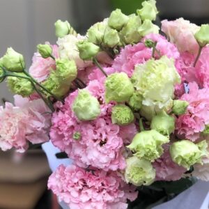 Lan tường hồng xoăn