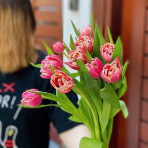 Tulip Double Colombus